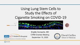 Using Lung Stem Cells to Study the Effects of Cigarette Smoking on COVID-19 - Brigitte Gomperts