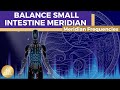 Small Intestine Meridian Frequency Treatment || Unblock & Balance Qi-Flow • Only Digest What‘s Good