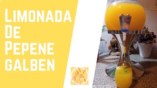 Cea mai aromata limonada de pepene galben