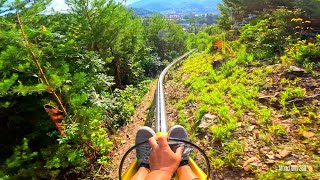 Only Single-Rail Mountain Coaster in United States | Rail Runner at Anakeesta & Treetop Skywalk 2023