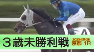 2023/05/28【パドック返し馬つき】京都1R　３歳未勝利戦　☆フィルムアクトレス　スクリーンヒーロー　　＃レースは10分ころから