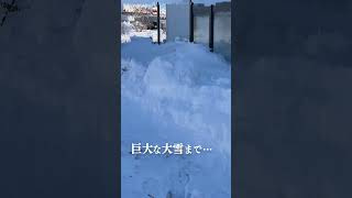 【長尺で大反響】家の中に雪を捨ててくる雪捨て犯。北海道鶴居村 Japanese country life Hokkaido 貧困女子りんの田舎暮らし #shorts