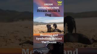 🐶DOG DREAM INTERPRETATION | DREAM SYMBOLS