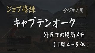 DDON攻略 | キャプテンオーク 野良 ジョブ修練場所メモ （1周4～5体）- ドラゴンズドグマオンライン