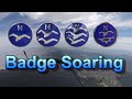 Badge Soaring