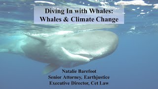 Natalie Barefoot - Zemská spravedlnost - Jak velryby a jejich hovínka bojují proti změně klimatu