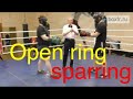 Boxing: open ring sparring in Alexey Frolov's gym