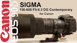 Sigma 150-600 F5-6.3 Contemporary for my Canon 90D. Photos, settings, reasons I'm switching.