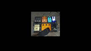 PAL800-V3 vs Klon\u0026Timmy OD