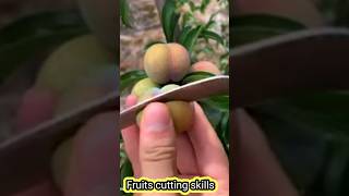 ফল কাটার নিনজা টেকনিক 😱Fruits cutting skills 😱 फल काटने का हुनर #fruitcutting #fruit #mrfunbox