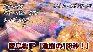 渡良瀬川冬季虹鱒2021〜鹿島橋〜[激闘の480秒！]