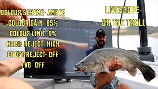 LIVESCOPE- On the Troll for Murray Cod