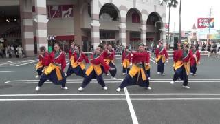 “元気づくり”くだまつ総踊り2015 周防紅華連 Ｂ会場☆食遊館前