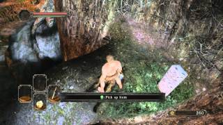 Dark Souls 2 Walkthrough: Deprived Class - Part 1 "Things Betwixt"