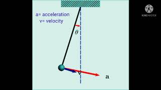 Simple pendulum animation || direction of velocity and acceleration of simple pendulum executing SHM