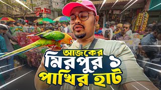 আজকের মিরপুর ১ পাখির হাট | জমজমাট পাখির হাট | 21.2.2025