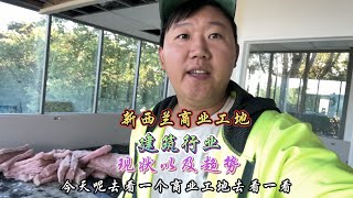 新西兰商业工地是什么样子？建筑行业的现状以及趋势#旧房改造 #海外生活 #建筑