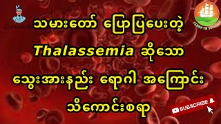 Thalassemia ဆိုတဲ့ သွေးအားနည်းရောဂါ