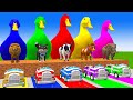 5 Giant Duck Cartoon,Cow,Mammoth,Lion,Dog,Bear,Tiger Paint Wild Animals Crossing Fountain Animation