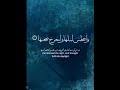 Pashton official search #islamicvideo #telawat_quran78