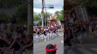 #八田荘だんじり#毛穴町 #宮出 #やり回し #蜂田神社 #2023.10.21(Danjiri festival in Japan)