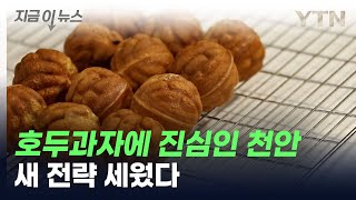 호두과자에 '진심'인 천안, 새 전략 세웠다 [지금이뉴스] / YTN