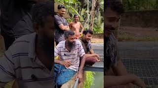 ഇത്രയും വലുപ്പം വെച്ചത് ആറുമാസം കൊണ്ടാണ് #sohrts #fishfarming #pondfish #varalfish #fishlovers #pets