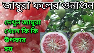 জাম্বুরা ফলের গুনাগুন | দেখুন জাম্বুরা খেলে কি কি উপকার হয় | Pomelo | বাতাবি লেবুর উপকারিতা |