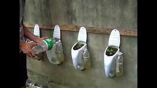 Grafting and Planting Tips 2024 #plants #grafting #pruning #garden #homegarden