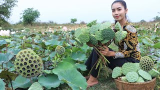 Lotus seed in my homeland and make dessert recipe - Healthy fruit