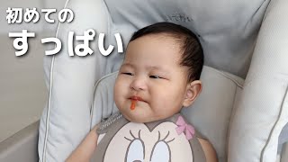 【生後7ヶ月】初めてトマトを食べた赤ちゃんの反応