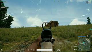 1v4 chicken dinner