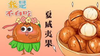 【我是不白吃】 203 夏威夷！没有！夏威夷果！丨Mr.foodie