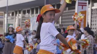 めざせ！世界遺産 奄美大島・徳之島(4K 個性豊かな祭り・風習編 その2)