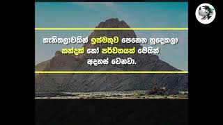 ඔබ දැන සිටියාද....