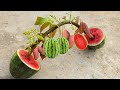 The greatest technique: how to grow mango tree with watermelon fruit get 100% fast fruit