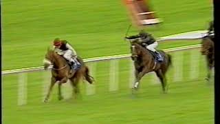 2001 - Flat Racing at Punchestown - EBF Maiden - Ursa Minor (MJ Kinane)