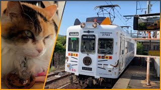 【Travel Vlog】Cat Railway And Cat Stationmaster in Japan 🚞 Kishigawa Line, Kishi Station