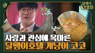 [#달팽이호텔] 오늘도 코코랑 단짝케미 선보이는 성시경🐈 | EP6-6