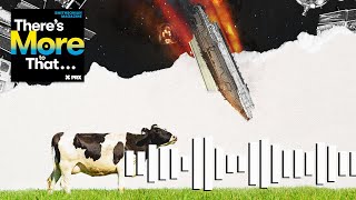 The Astronomical Problem of Space Junk