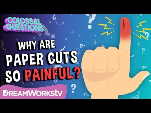 Why Do Paper Cuts Hurt So Much? | COLOSSAL QUESTIONS Why Do Paper Cuts Hurt So Much? | COLOSSAL QUESTIONS