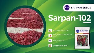 Chilli Seeds | High Revenue | Sarpan 102 Byadagi Chilli Seeds | Farmer Review | Chilli Seeds Telugu