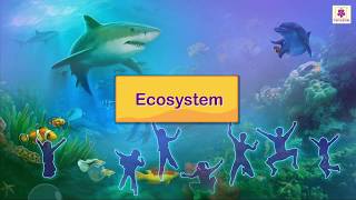 Ecosystem | Science For Kids | Periwinkle