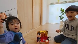 お雛様を破壊するどんちゃん春の訪れ　ひなごんおいちゃんどんちゃん三兄弟Vlog