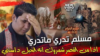 مسلم تدري ماتدري - حسن الحميداوي | اذا من القصر شمروك انه الخيل داستني | فيديو حصري محرم 1445ه