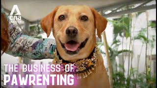Bespoke Pet Fashion, Food & Furniture: How We Spoil Our Dogs & Cats | The Business Of Pawrenting