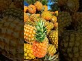 pineapple #fruit #trending #shorts #viral #food