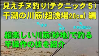 見えチヌ釣り（テクニック５）干潮の川筋の砂地で穴を掘って餌を探しているチヌを狙打ち【前打ち／ヘチ釣り／落とし込み／河川／クロダイ／黒鯛／カニ／釣り方／テクニック】