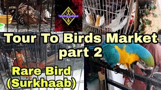 Tour to Birds Market Part || | Rare Bird Surkhaab | Taha Entertainment |