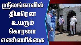 ஸ்ரீலங்காவில் கொரோனா தொற்றாளர்களின் எண்ணிக்கை மேலும் உயர்ந்தது!!! #breaking_news